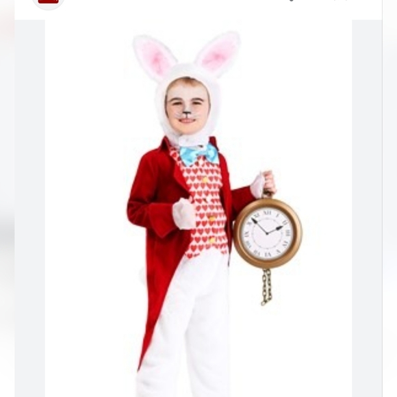 Costumes Alice In Wonderland White Rabbit Costume Sz 4t Poshmark